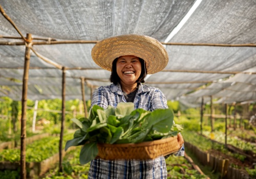 Stock Farmer 500x350